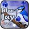 BLUE JAY - MEGA MARBLES - MEGA MARBLES OLD 24+1 (2003) (FACE)